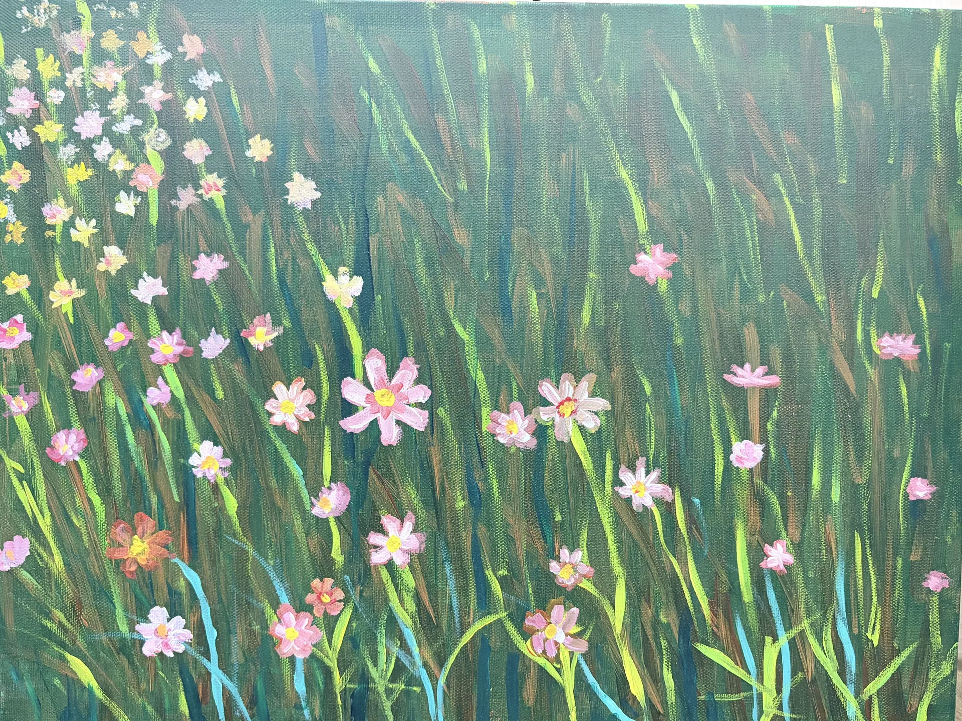 春天的草叢小花